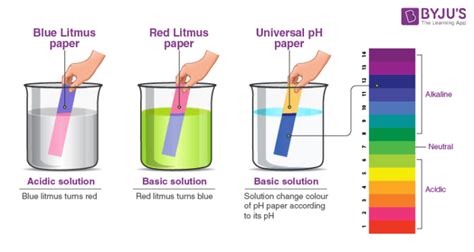 Litmus Paper: Learn Definition, Test for Acids & Bases, pH Scale.